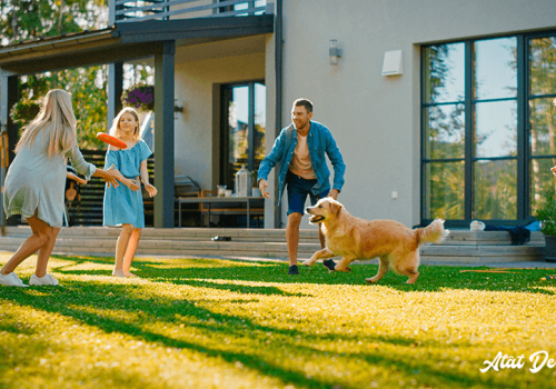 6 secrete pentru un gazon perfect