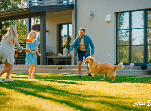 6 secrete pentru un gazon perfect