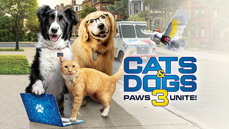 Cats Dogs 3 Paws Unite Cats Dogs 3 Paws Unite