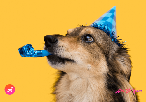 Cele mai superbe mesaje haioase de la mulți ani