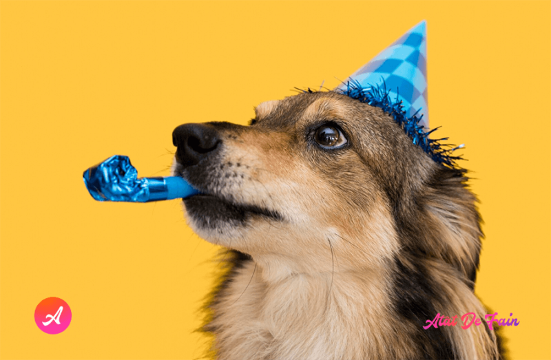 Cele mai superbe mesaje haioase de la mulți ani