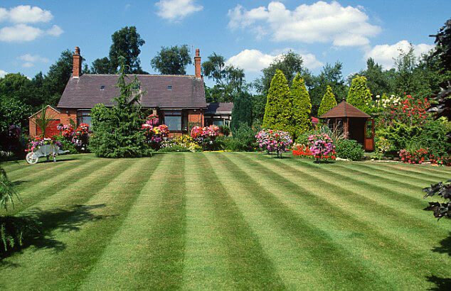 Gazon englezesc sau parterre Gazon englezesc sau parterre