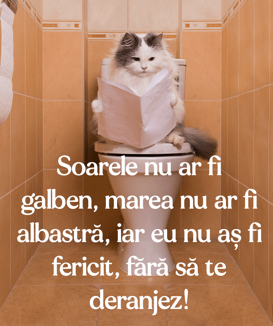 Imagini frumoase cu mesaje Imagini frumoase cu mesaje