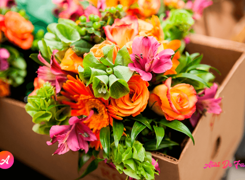 Mesaje de La Mulți Ani pentru Sora mea