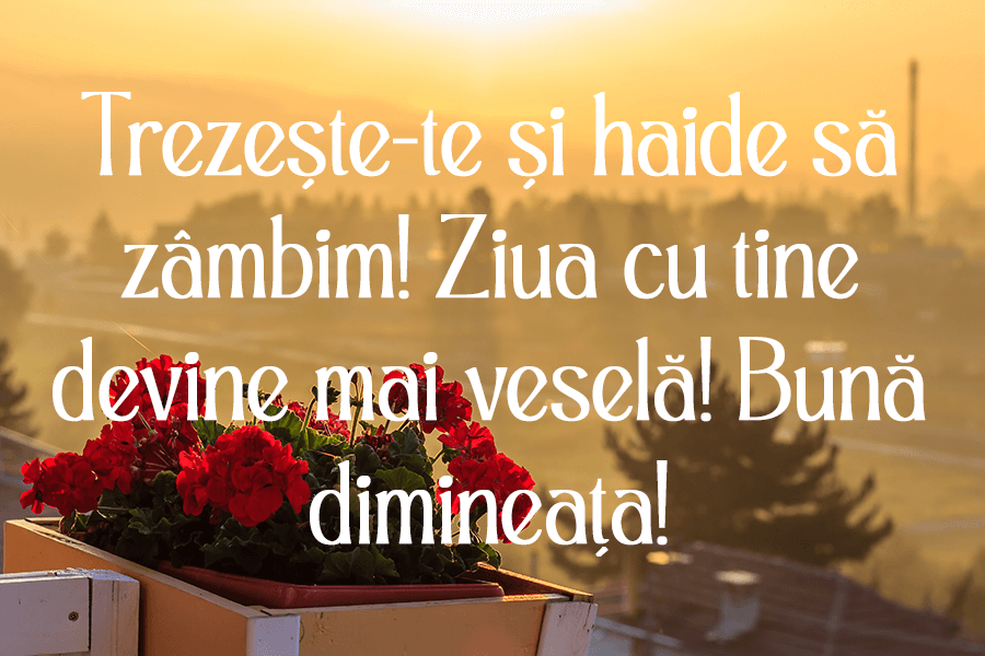 Mesaje de bună dimineața cu imagini