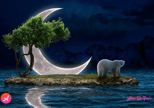 Mesaje de noapte bună pentru dragi prieteni