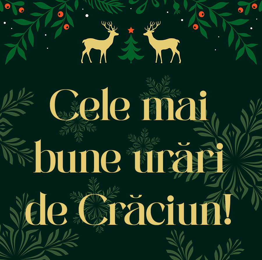 Mesaje frumoase de Crăciun
