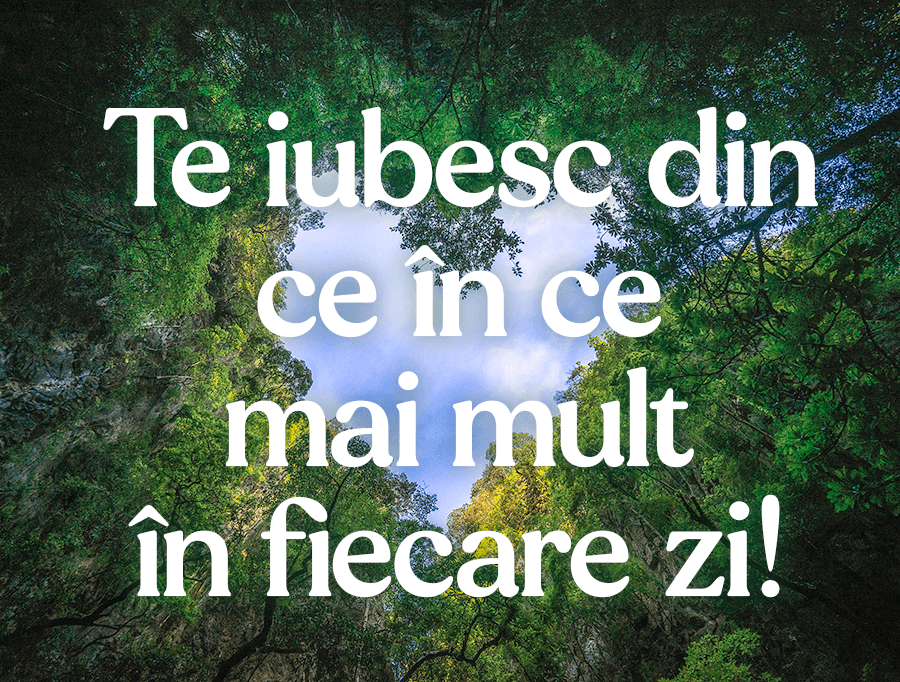 Mesaje frumoase pentru iubit Mesaje frumoase pentru iubit