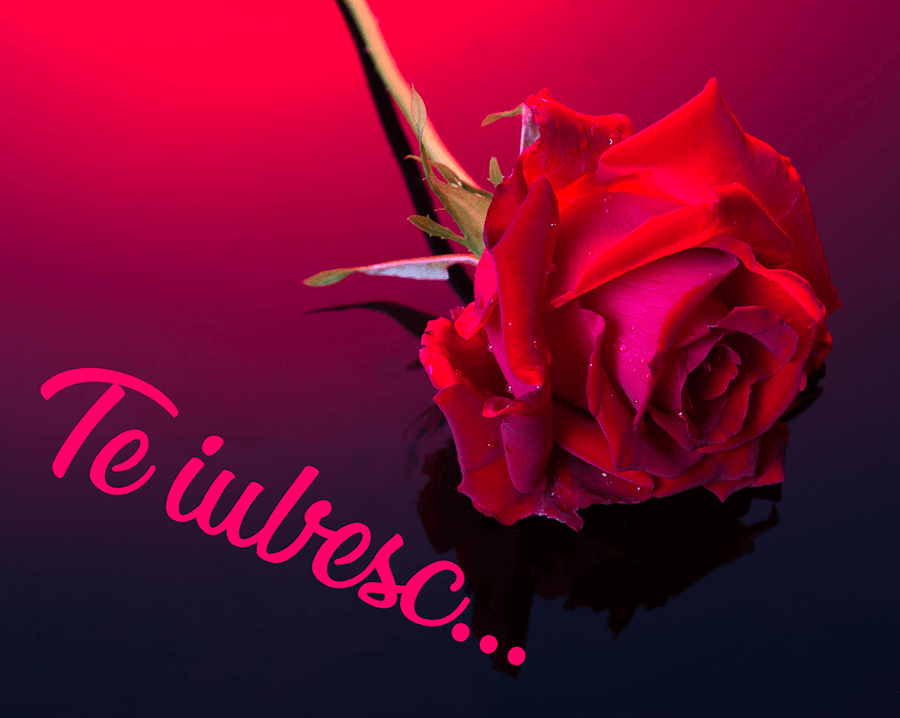 Mesaje scurte de dragoste