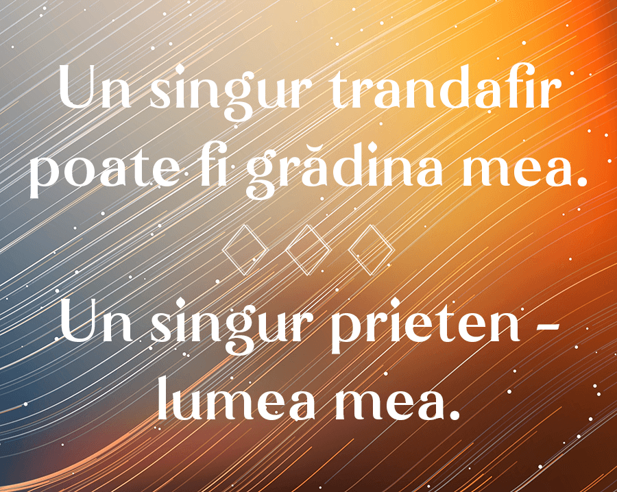 Statusuri de viață și iubire