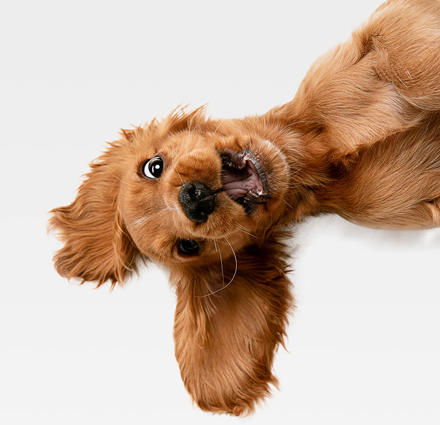 Urări de zi de naștere pentru bărbați