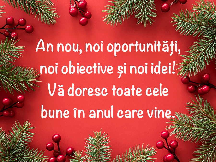 Urări deosebite de Anul Nou Urări deosebite de Anul Nou